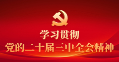 學習貫徹黨的二十屆三中全會精神